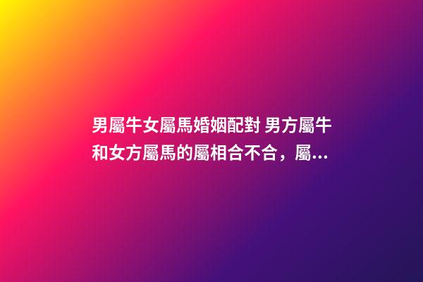男屬牛女屬馬婚姻配對 男方屬牛和女方屬馬的屬相合不合，屬牛的和屬馬的合不合
